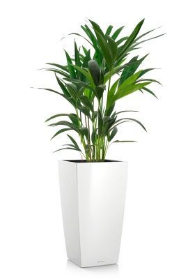 Ховея 17/90 см в CUBICO 22, белый блестящий Ховея 17/90 см в CUBICO 22, белый блестящий