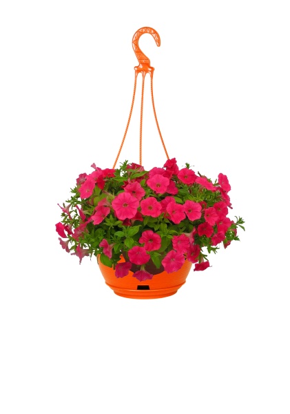 Петуния микс 23/40 см Петуния микс 23/40 см