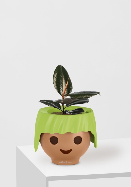 Фикус Эластика Абиджан 12/35 см в OJO Фикус Эластика Абиджан 12/35 см в OJO