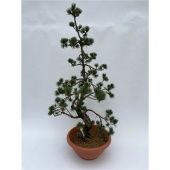 Бонсай сосна d30 см h95 см