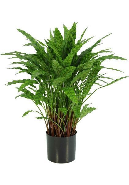 Растение искусственное в кашпо "Калатея", H88 см, 123 ветки