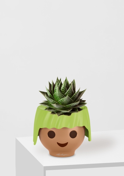 Алоэ Космо в OJO