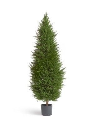 Кипарис Тауэр Элегант уличный новый 2/2