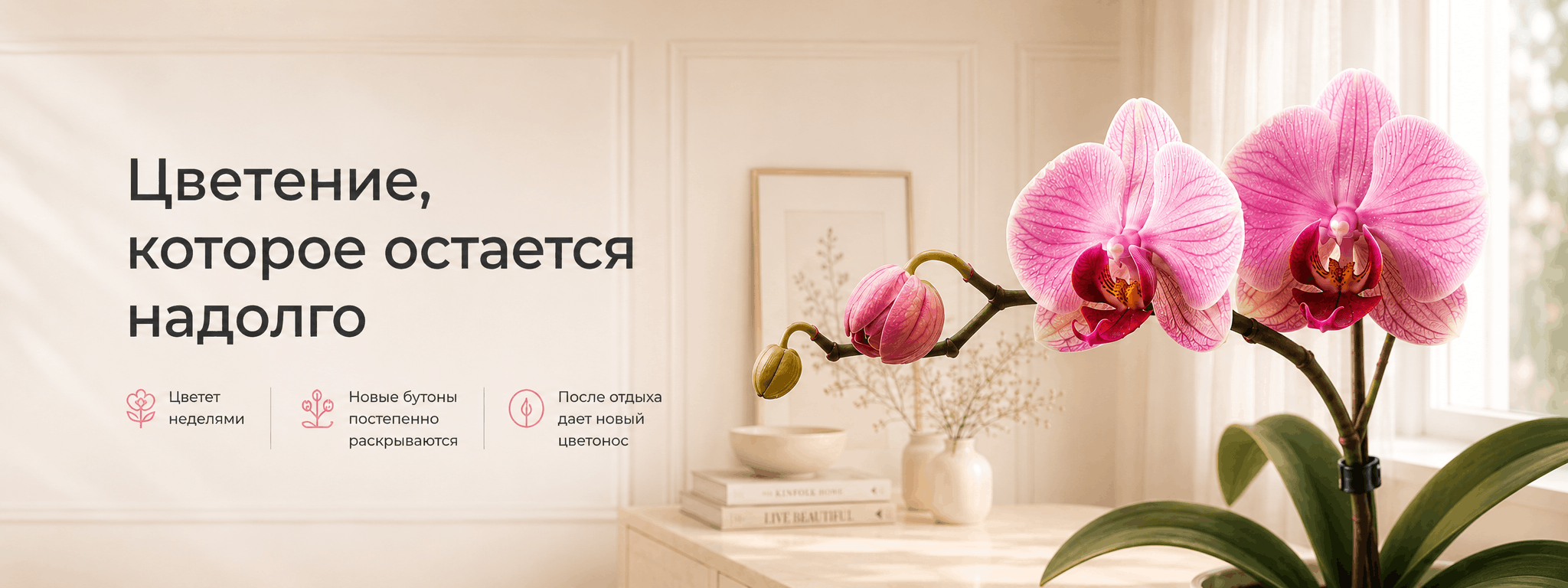 орхидея межстраничный 1