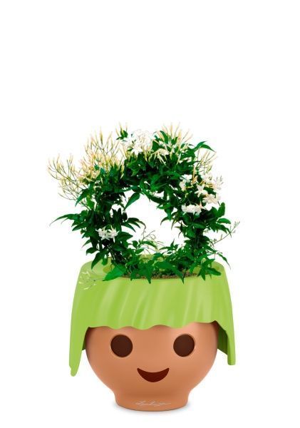 Жасмин на опоре 12/35 см в OJO