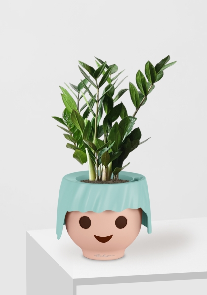 Замиокулькас 12/45 см в OJO