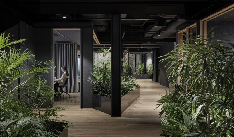 Озеленение офиса: пошаговая инструкция