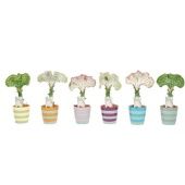 Эуфорбия Кристата d10.5 см h30 см