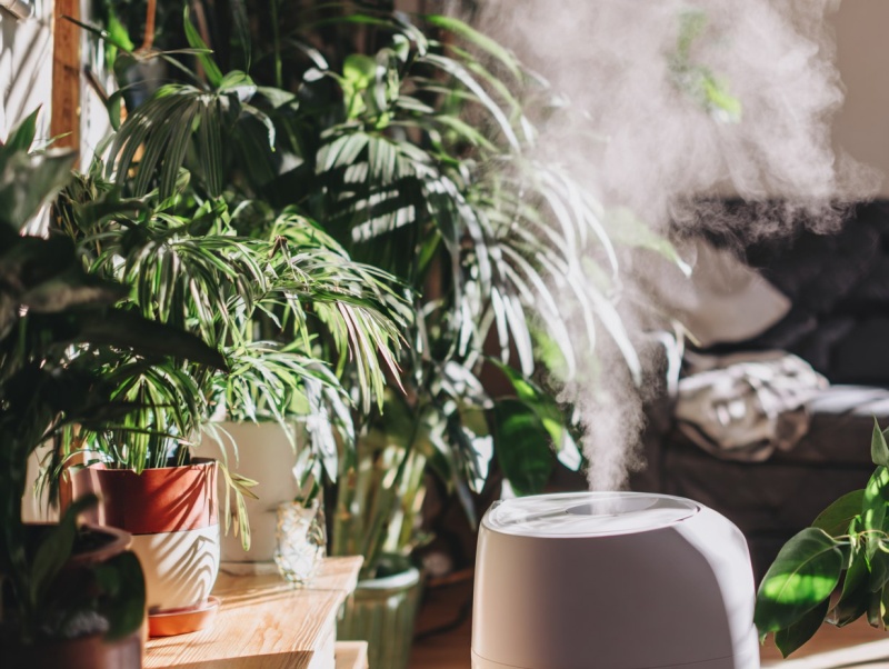 6 секретов, как преобразить open space с помощью растений — узнайте, что действительно работает