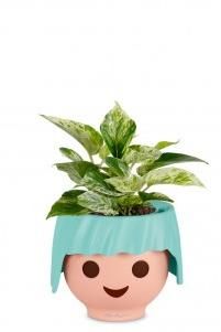 Сциндапсус в OJO 20 см Сциндапсус в OJO 20 см