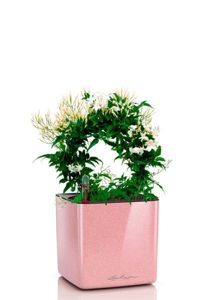 Жасмин на опоре 12/35 см в CUBE GLOSSY KISS 14