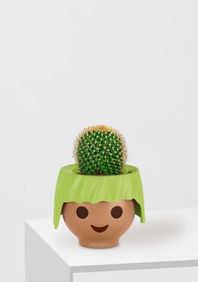 Кактус Маммиллярия Полителе 12/20 см в OJO, зеленый