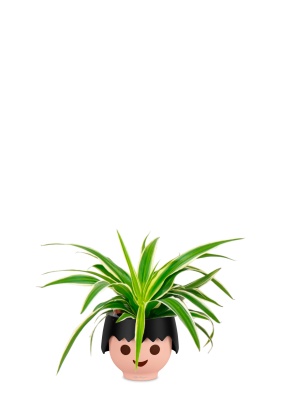 Хлорофитум Айриш 12/30 см в OJO, черный