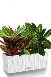 Лиственный микс Cottage 50/40 см, белый