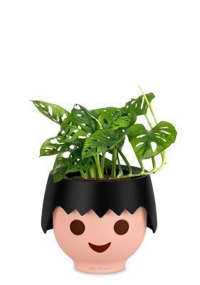 Монстера Манки 12/30 см в OJO, черный