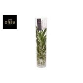 Ванда Michelle White d17 см h70 см Ванда Michelle White d17 см h70 см