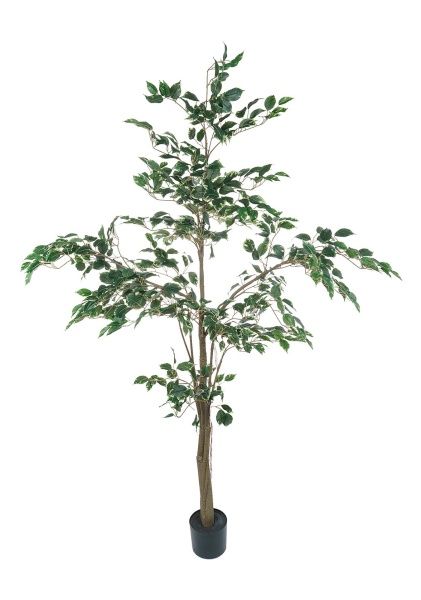 Дерево искусственное в кашпо "Фикус Бенджамина пестрый", Н180 см, 705 листьев