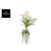 Ванда Tayanee White d30 см h60 см Ванда Tayanee White d30 см h60 см