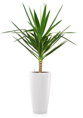 Юкка Пак в RONDO 32, белый блестящий Юкка Пак в RONDO 32, белый блестящий