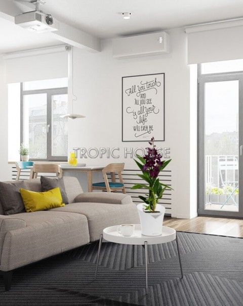Орхидея Дендробиум Санок черный в ORCHIDEA 18 Орхидея Дендробиум Санок черный в ORCHIDEA 18