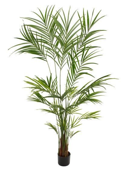 Дерево искусственное в кашпо "Пальма Кентия (Ховея) люкс", Н240 см, 354 листа