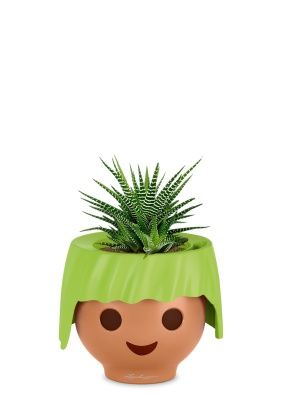 Хавортия микс 10 см в OJO, зеленый