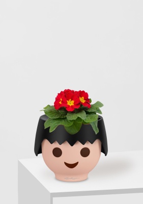 Примула 12/30 см в OJO Примула 12/30 см в OJO