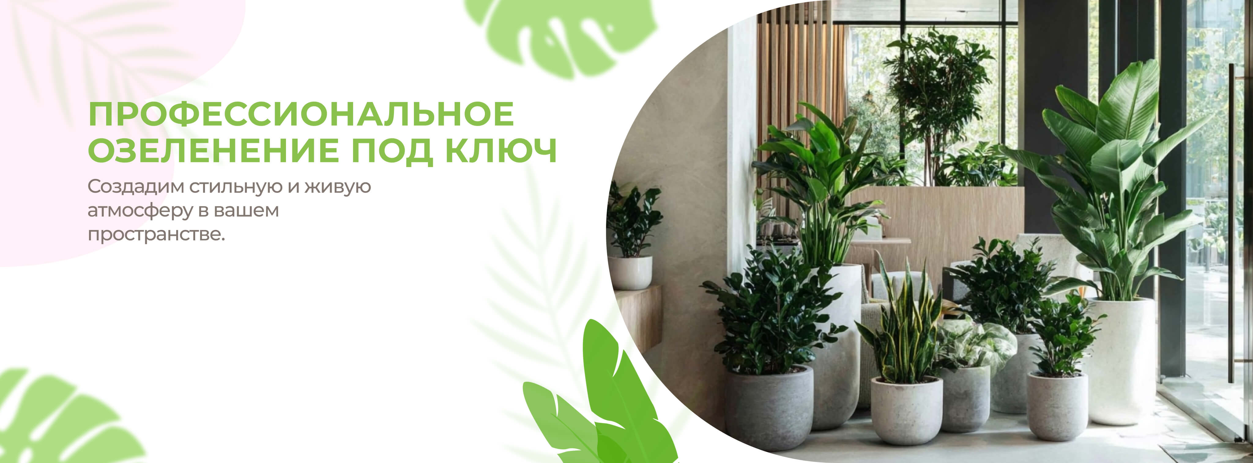 ОЗЕЛЕНЕНИЕ ОФИСОВ