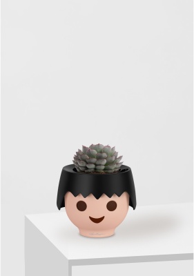 Эхеверия микс 10 см в OJO Эхеверия микс 10 см в OJO