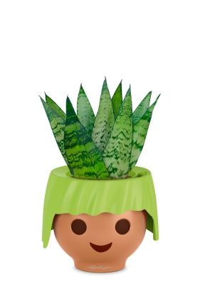 Сансевиерия Зейланика Фан 12/35 см в OJO, зеленый