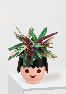 Строманта 12/40 см в OJO, черный