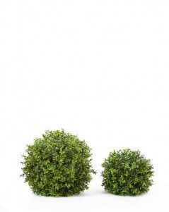 Самшитовый шар