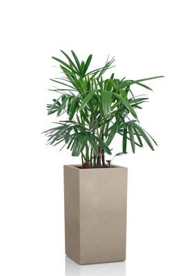 Рапис 21/90 см в CANTO STONE HIGH 30, светло-бежевый