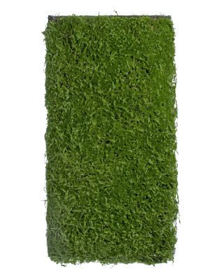 Мох Сфагнум полотно