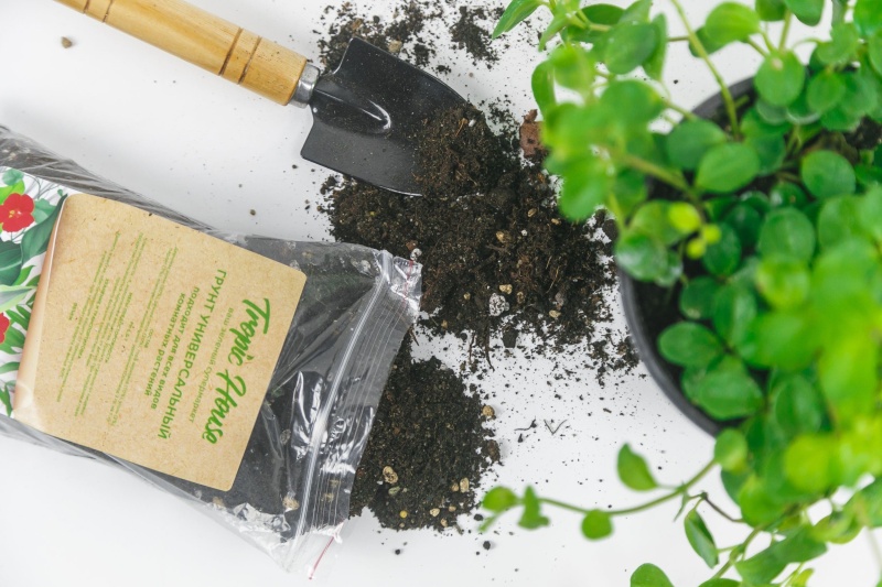 Фирменный грунт Tropic House: забота о растениях начинается с корней