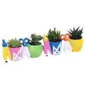 Суккуленты микс In School Mix Planter d6 см h15 см тип 2