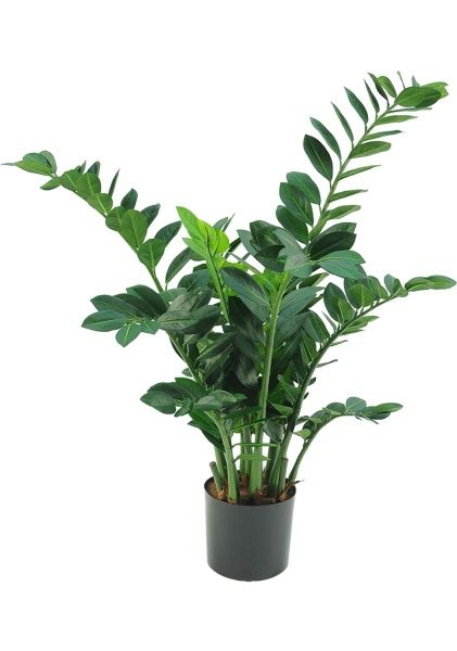 Растение искусственное в кашпо "Замиокулькас", H110 см,  12 веток, 260листьев