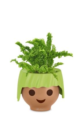 Нефролепис Возвышенный в OJO, зеленый