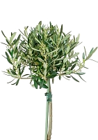 Олива на стволе 17/65 см в CUBICO 22