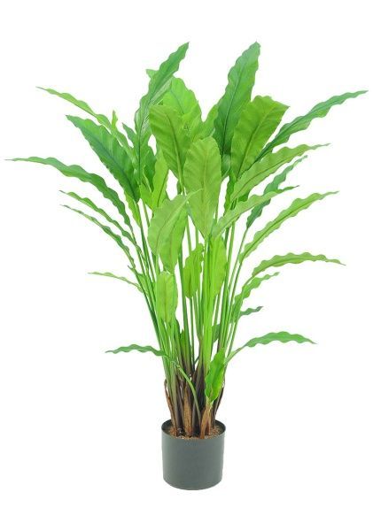 Растение искусственное в кашпо "Калатея", H77 см, 40 веток