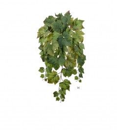 Виноградный куст ампельный натуральный