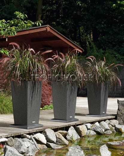 Ролики для CUBICO 30