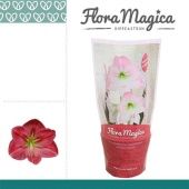 Гиппеаструм Sweet Pink Flora Magica 1 ствол d13 см h25 см