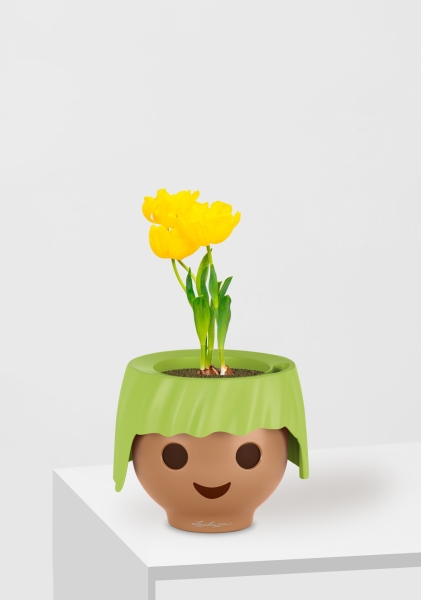 Тюльпан 7/15 см в OJO