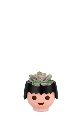 Суккулент микс 5 см в OJO Суккулент микс 5 см в OJO