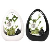 Бамбук Лаки d23 см h32 см