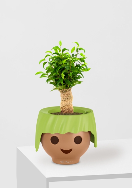 Фикус Бенджамина Наташа в джуте 12/30 см в OJO