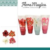 Гиппеаструм Kolibri Mix Flora Magica d9 см h20 см Гиппеаструм Kolibri Mix Flora Magica d9 см h20 см