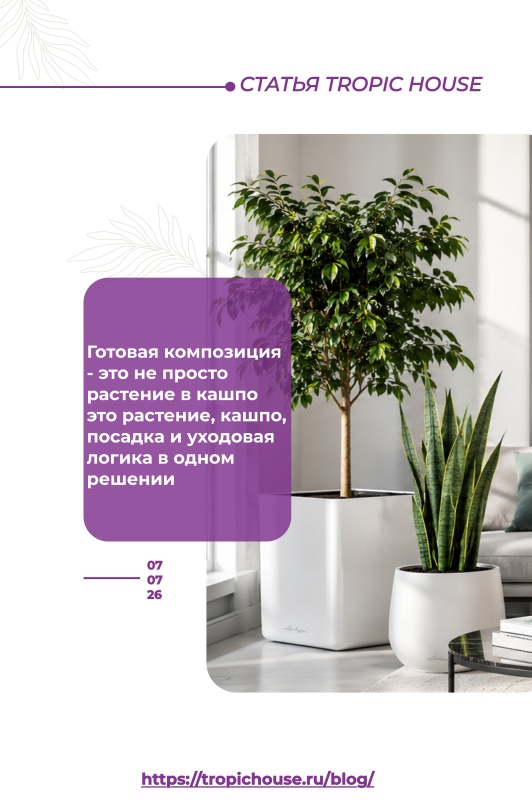 Как выбрать готовую композицию для дома или офиса Как выбрать готовую композицию для дома или офиса