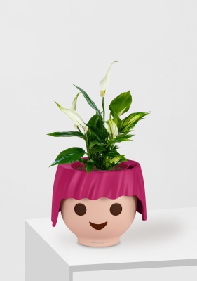 Спатифиллум OJO 40 см, Рубиново-розовый Спатифиллум OJO 40 см, Рубиново-розовый